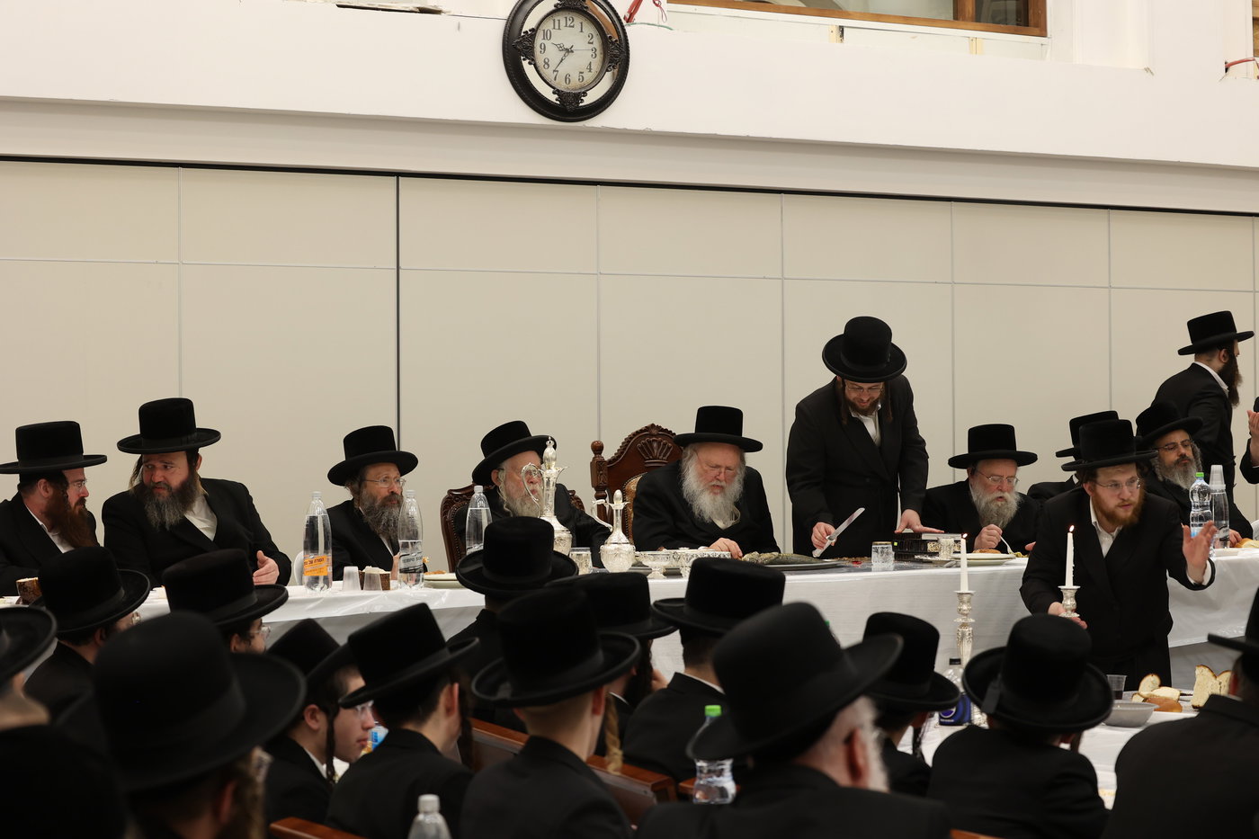 הילולא קדישא בקאמארנא בית שמש