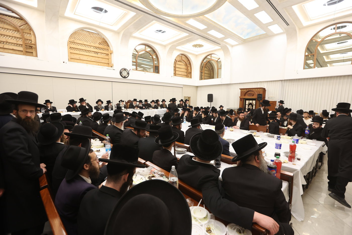 הילולא קדישא בקאמארנא בית שמש