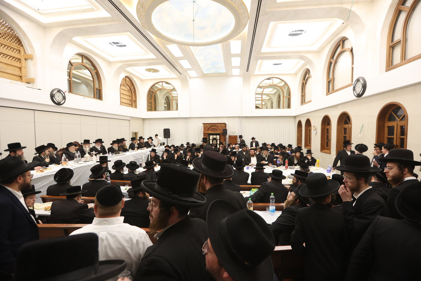 הילולא קדישא בקאמארנא בית שמש