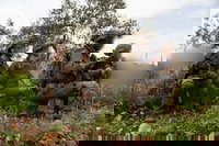 פעילות כוחות חטיבת גולני בדרום לבנון