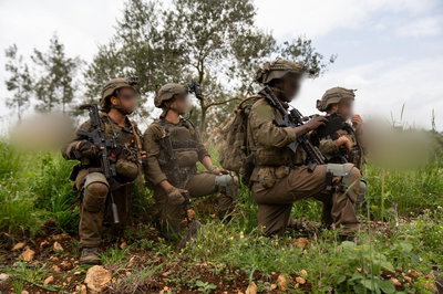 פעילות כוחות חטיבת גולני בדרום לבנון