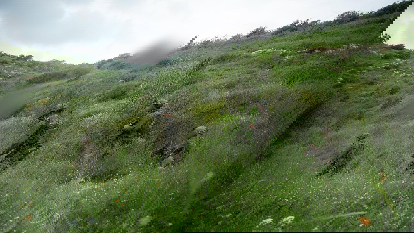 פעילות כוחות חטיבת גולני בדרום לבנון