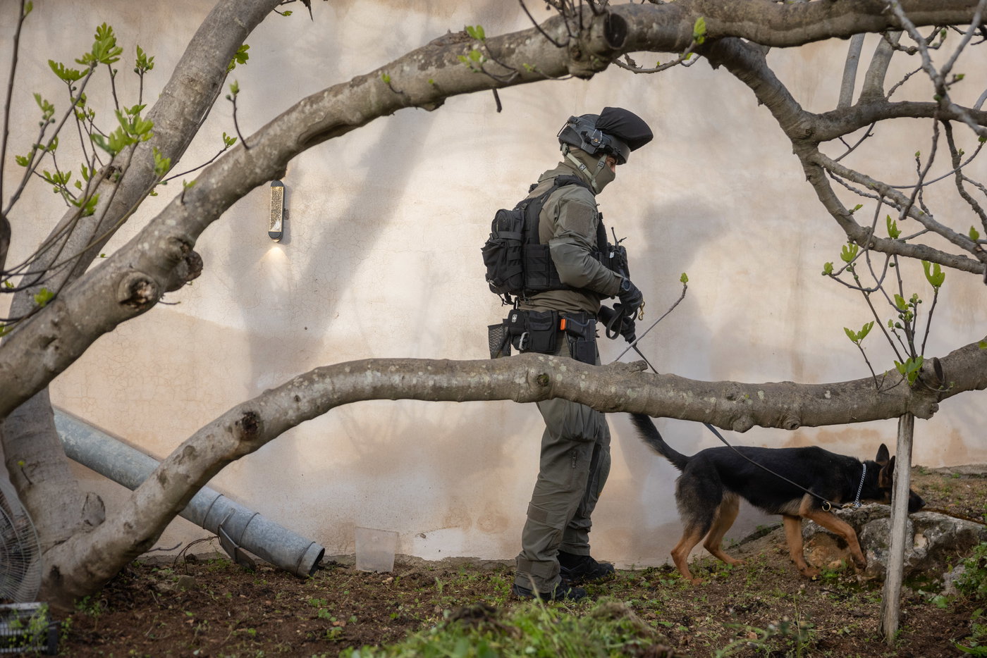 בעקבות גל הרציחות בקרב הנוער: המפכ"ל הורה על מבצע ארצי נגד הפשיעה