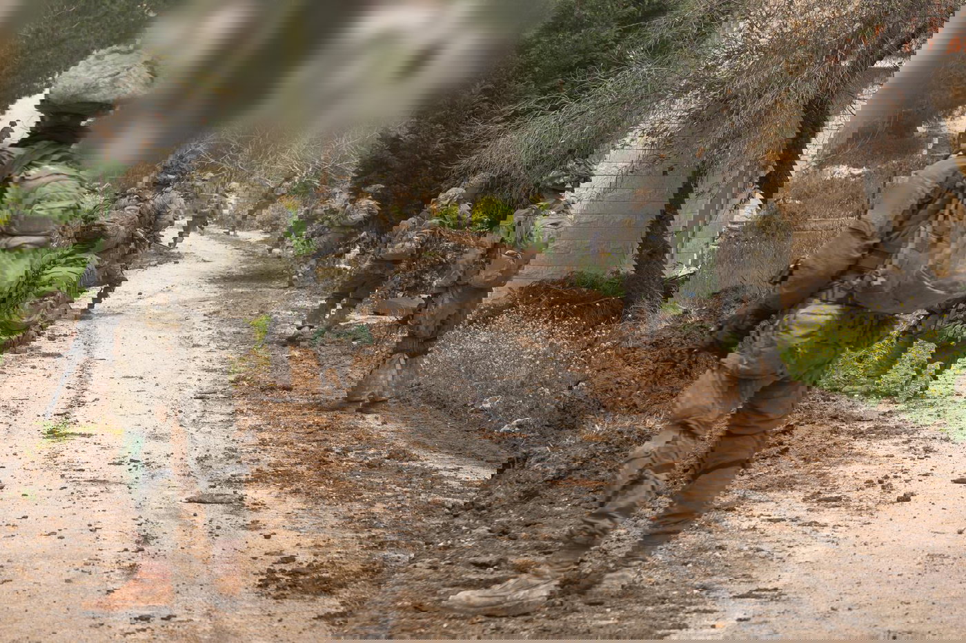 לוחמי צה״ל בלבנון 