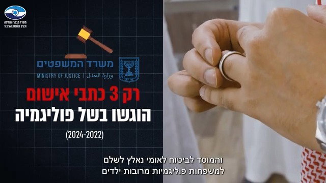 תמצית דו"ח המבקר