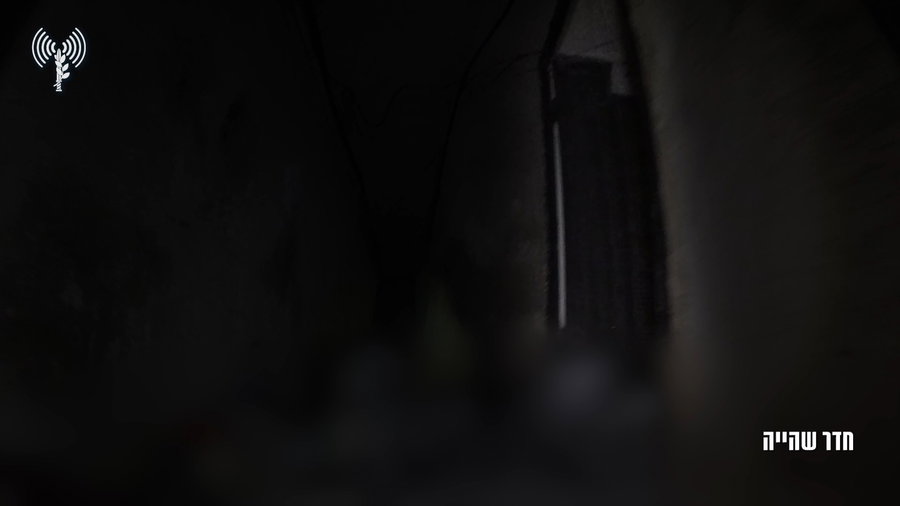 מצלמת כלב עוקץ בפעולה