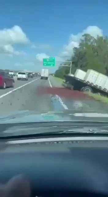 הסרטנים מציפים את הכביש