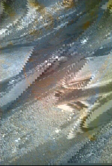 עמדה של ארגון הטרור חיזבאללה ובה מצבור אמצעי לחימה