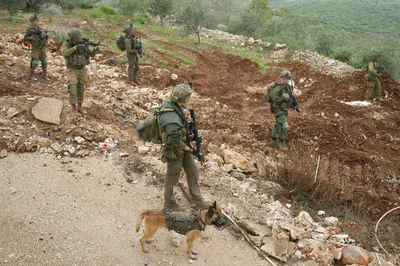 פעילות כוחות חטיבה 226 בדרום לבנון