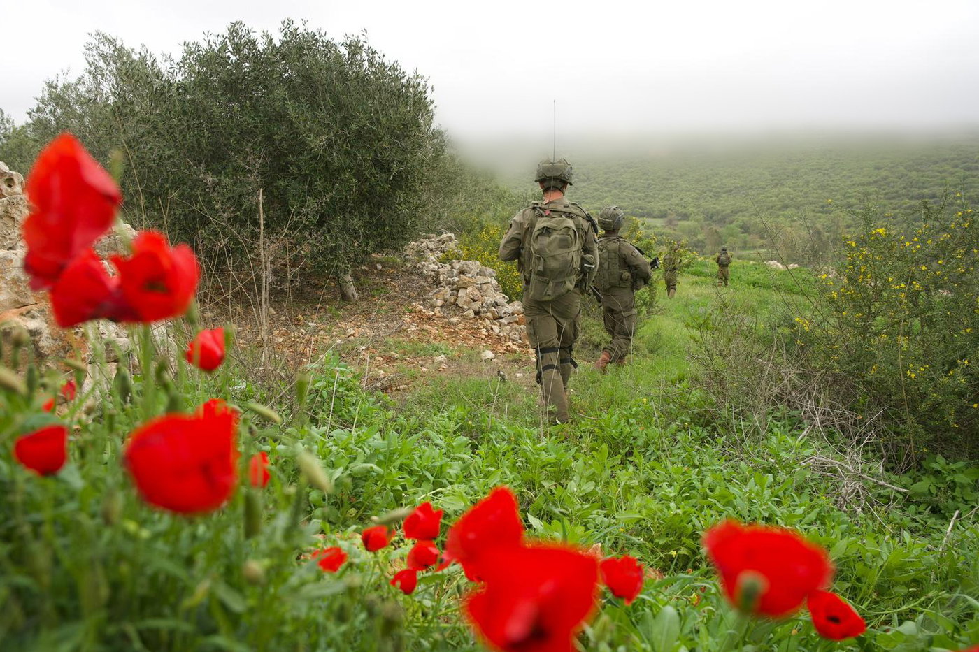 פעילות כוחות חטיבה 226 בדרום לבנון