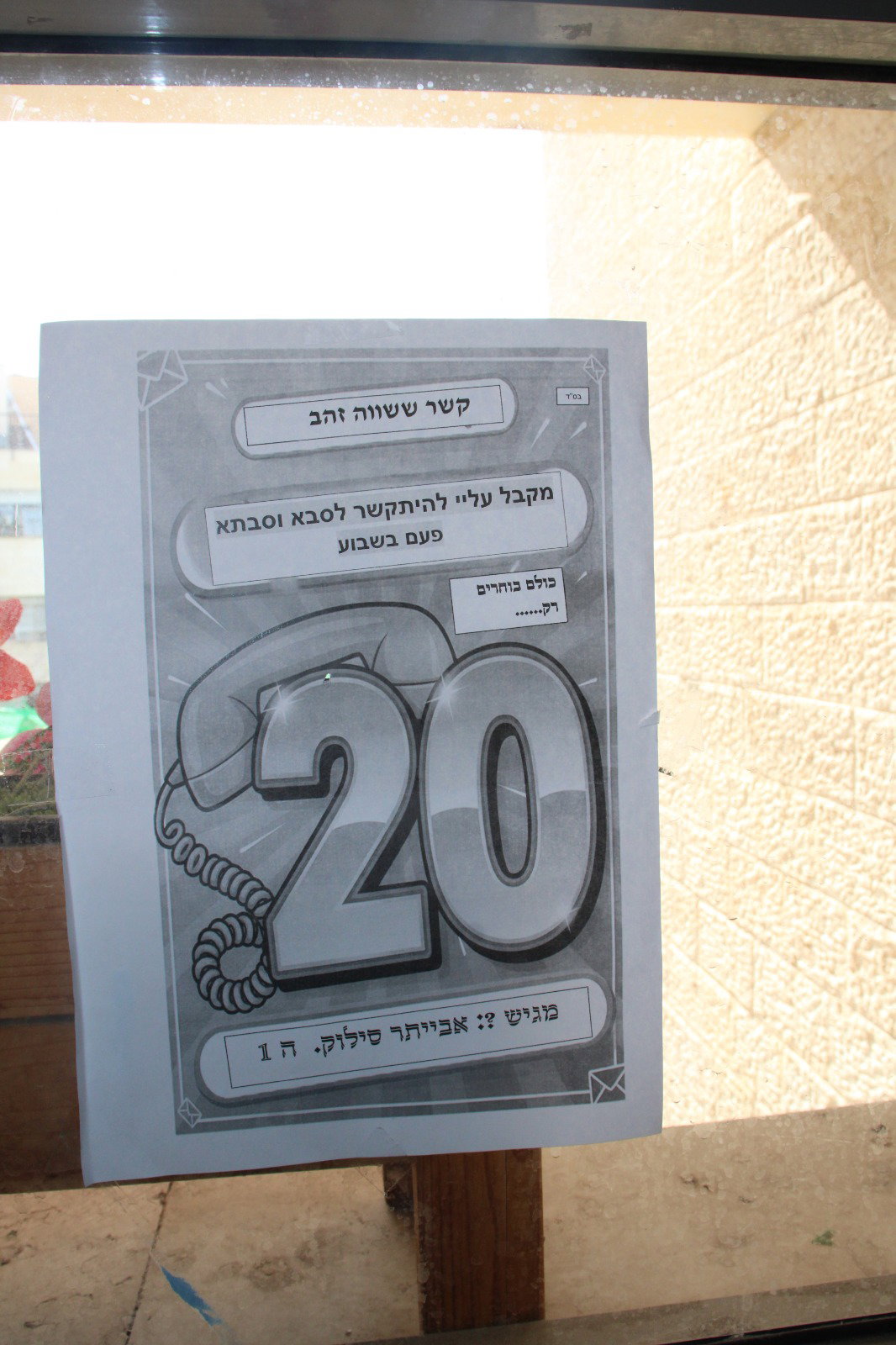 ת"ת פרי תואר אלעד