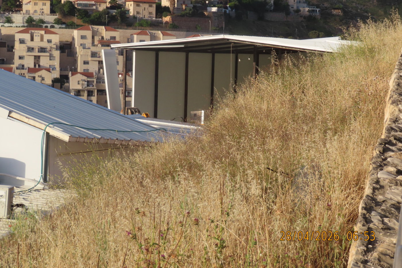 הריסת הישיבה בנווה יעקב