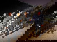 החזירו את הסוס