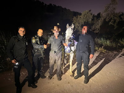 החזירו את הסוס