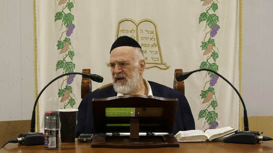 השיעור לפרשת אמור