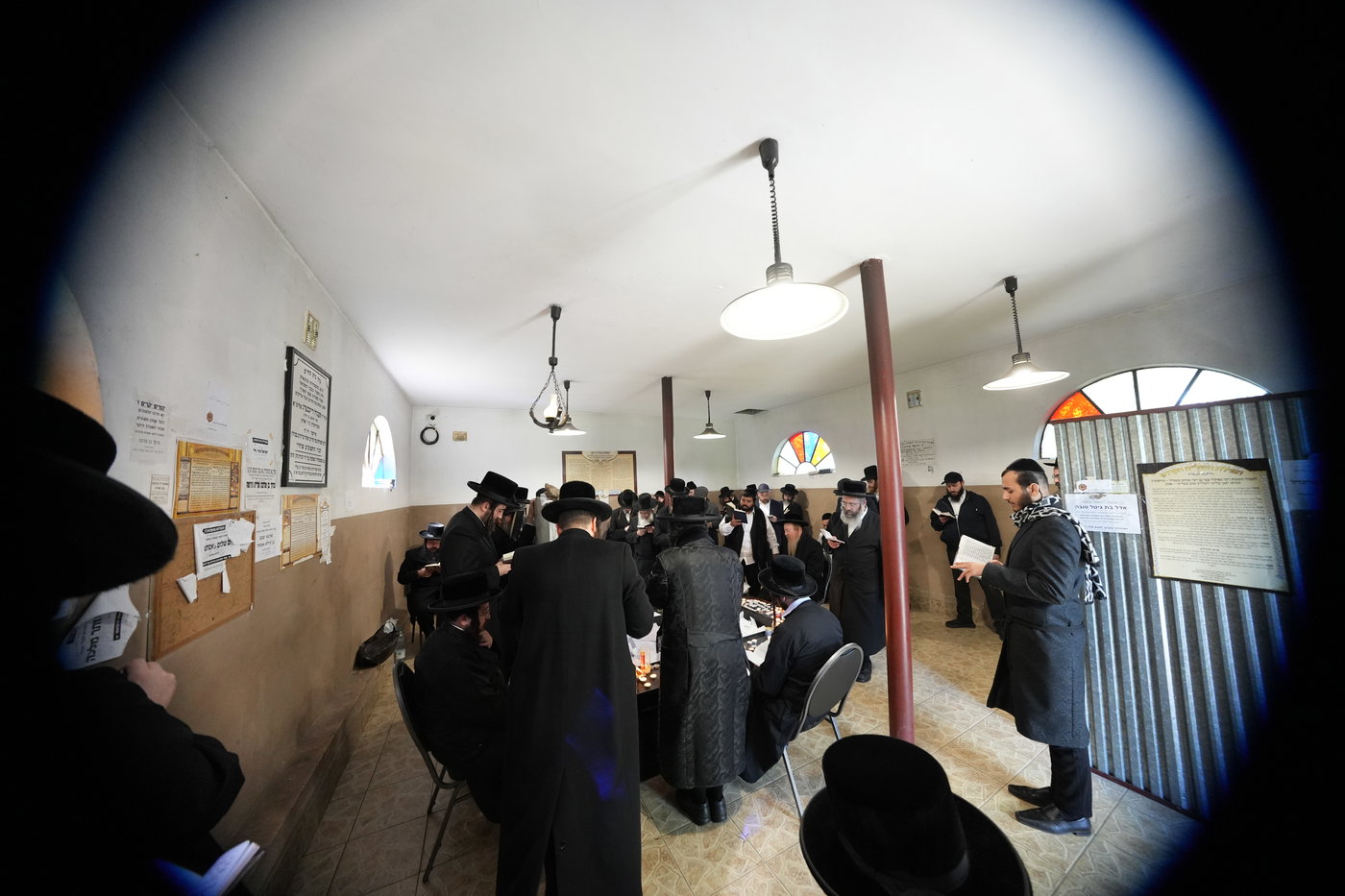 הילולת הרה"ק מרופשיץ בפולין