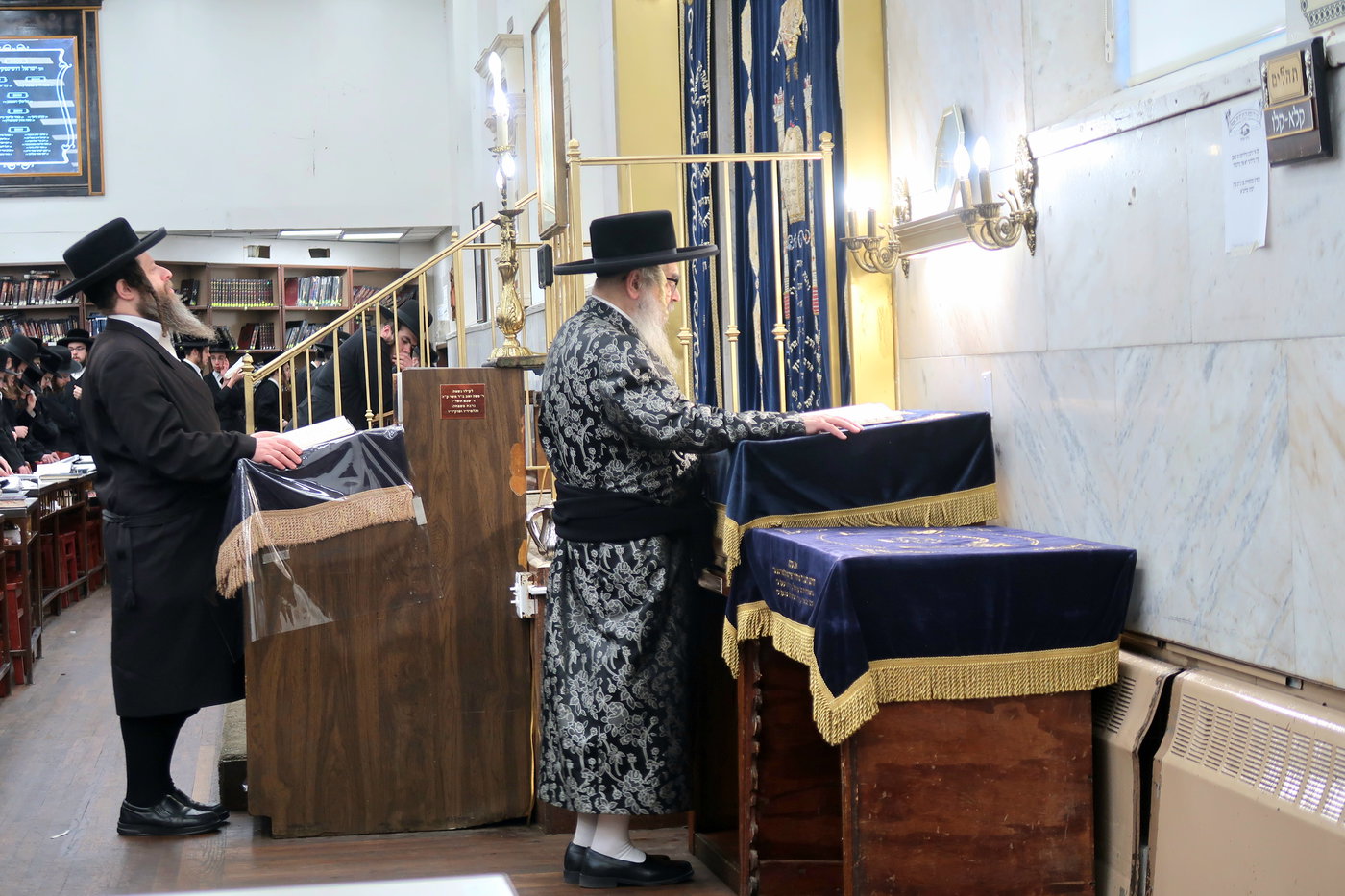 האדמו"ר מסאטמר בפתיחת זמן קיץ