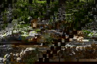 מוכנות ארטילרית בלתי ניתנת לעצירה