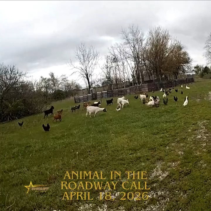 השוטר מגלה את החווה שנמלטה