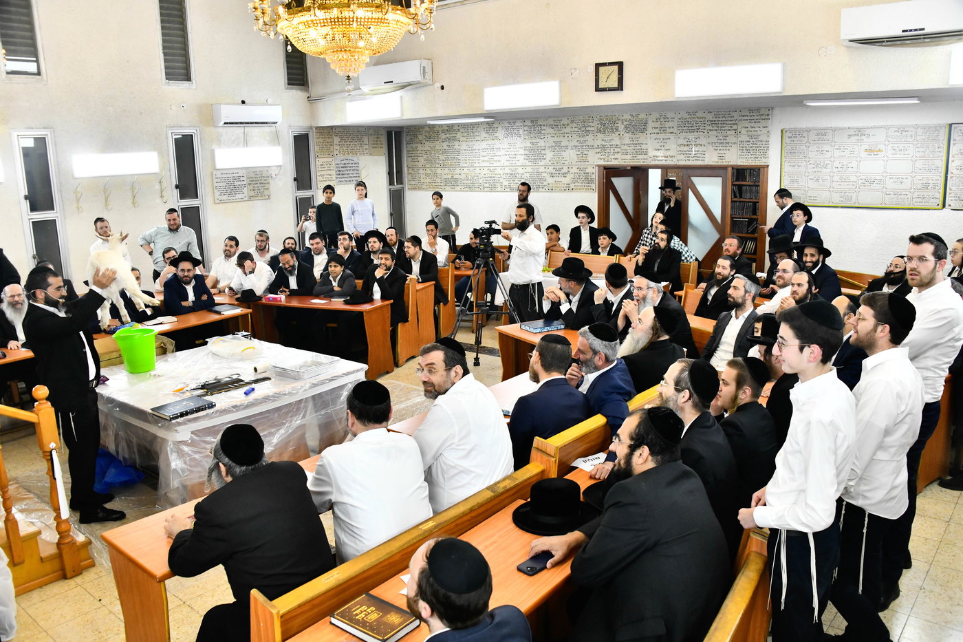 מעמד שחיטת גדי בבני ברק