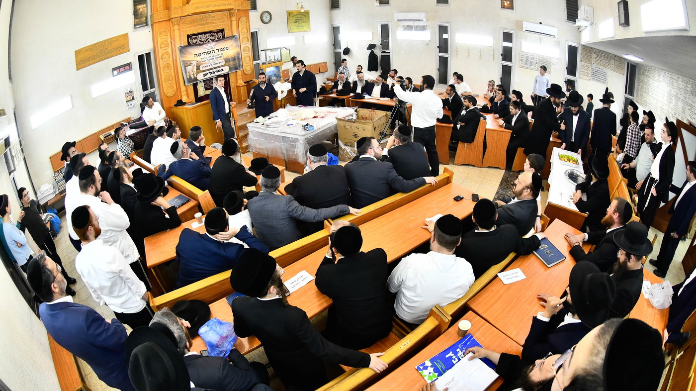 מעמד שחיטת גדי בבני ברק