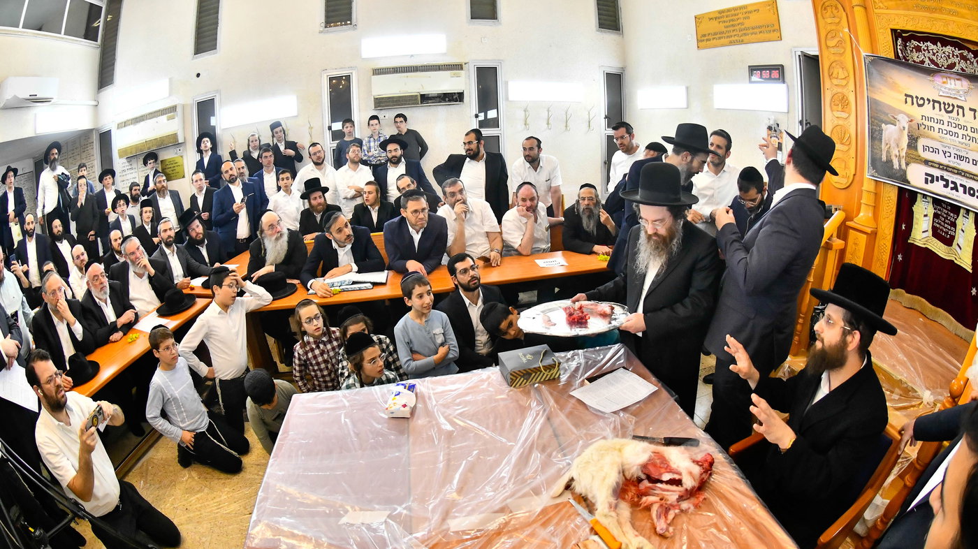 מעמד שחיטת גדי בבני ברק