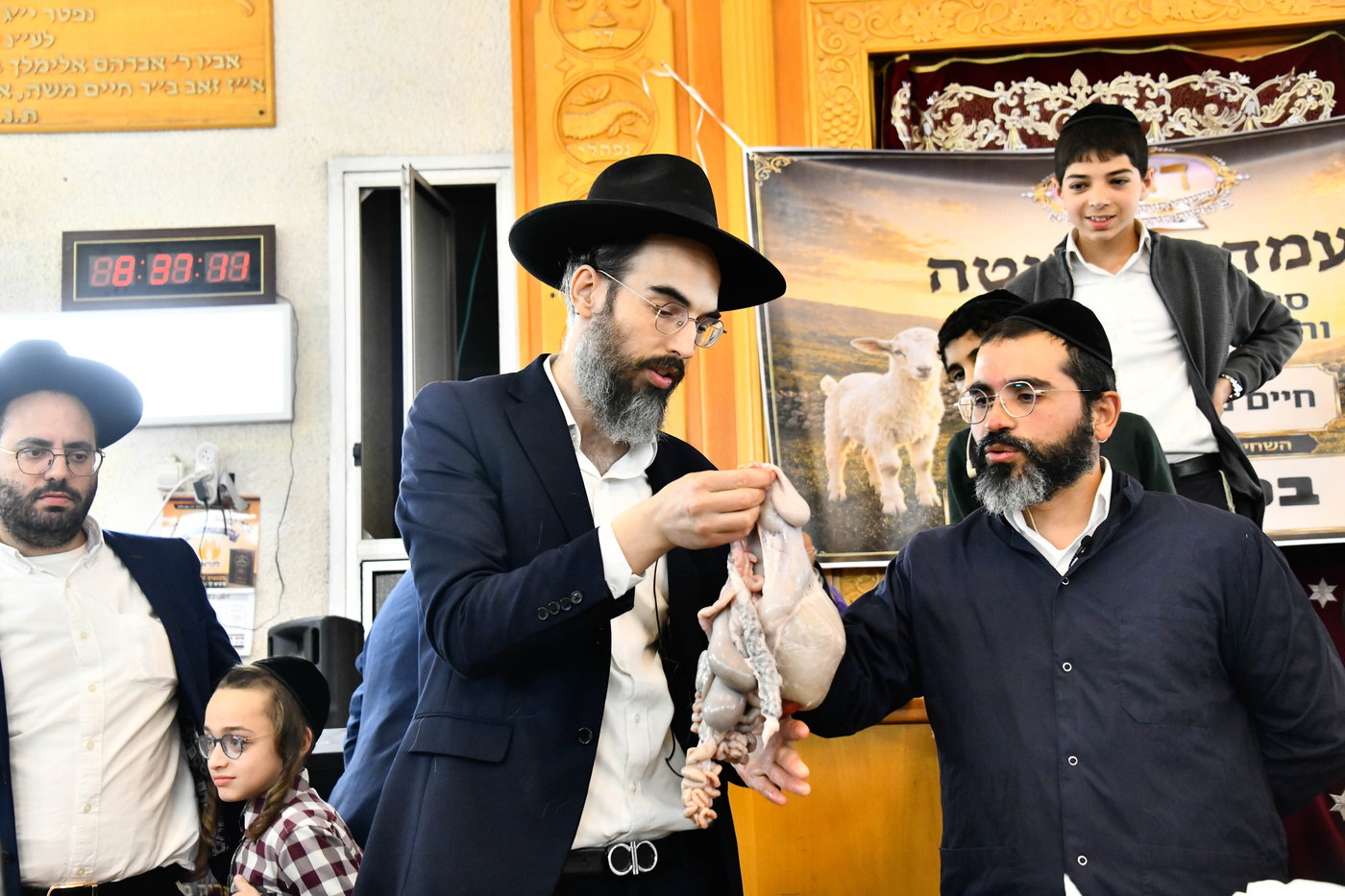 מעמד שחיטת גדי בבני ברק