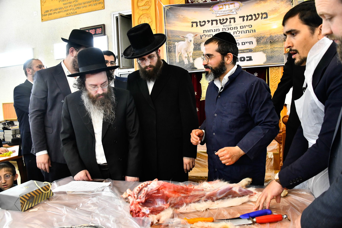 מעמד שחיטת גדי בבני ברק