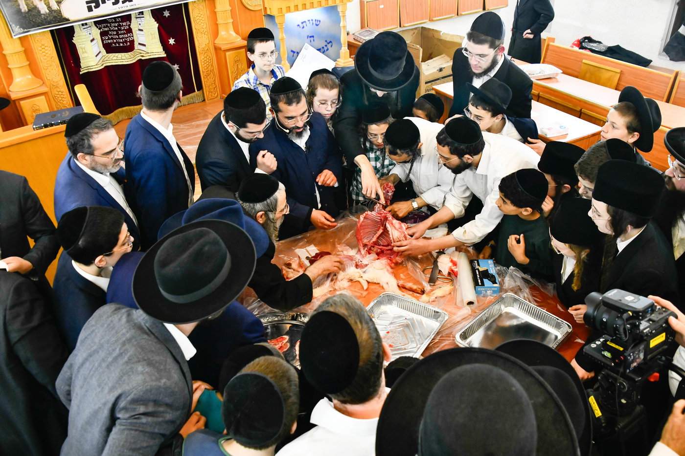 מעמד שחיטת גדי בבני ברק