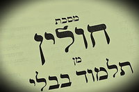 הדף היומי: מס' חולין דפים ב'-ג' יום ראשון ט"ז באייר