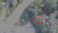 צפו: המחבלים בורחים ורצים בבהלה בתוך סבך העצים, זה לא עזר להם