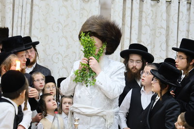 האדמו"ר מקאמאדא בשבת בחיפה