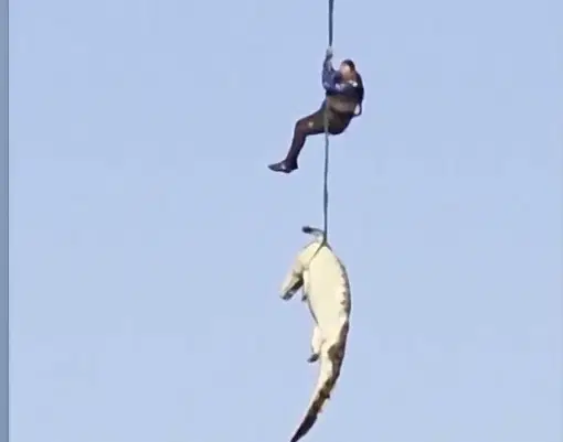 השוטר דג את התנין