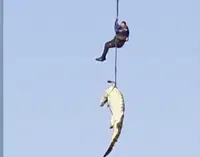 השוטר דג את התנין