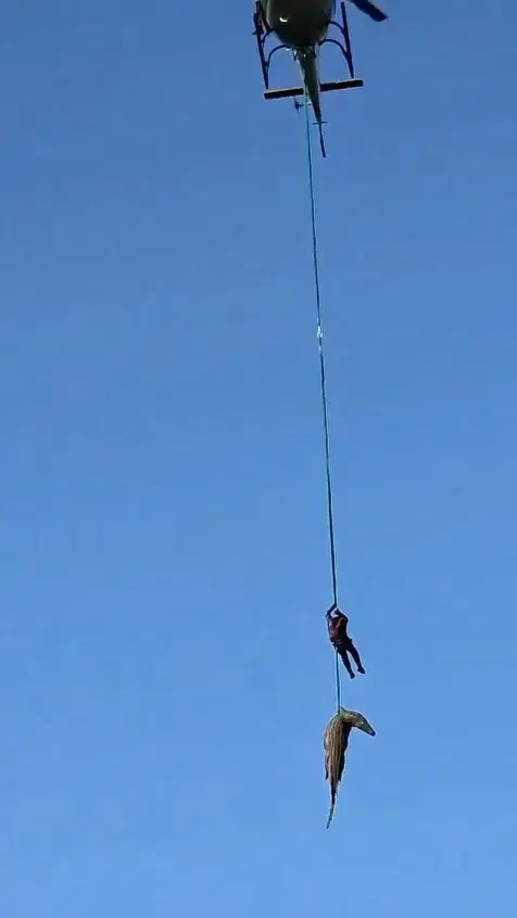 המצוד אחר התנין