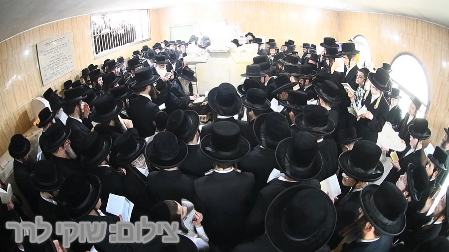 האדמו"ר מקרעטשניף י-ם בתפילה בהר הזיתים