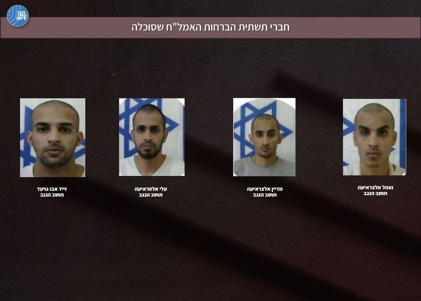 חוליית המחבלים שנעצרה