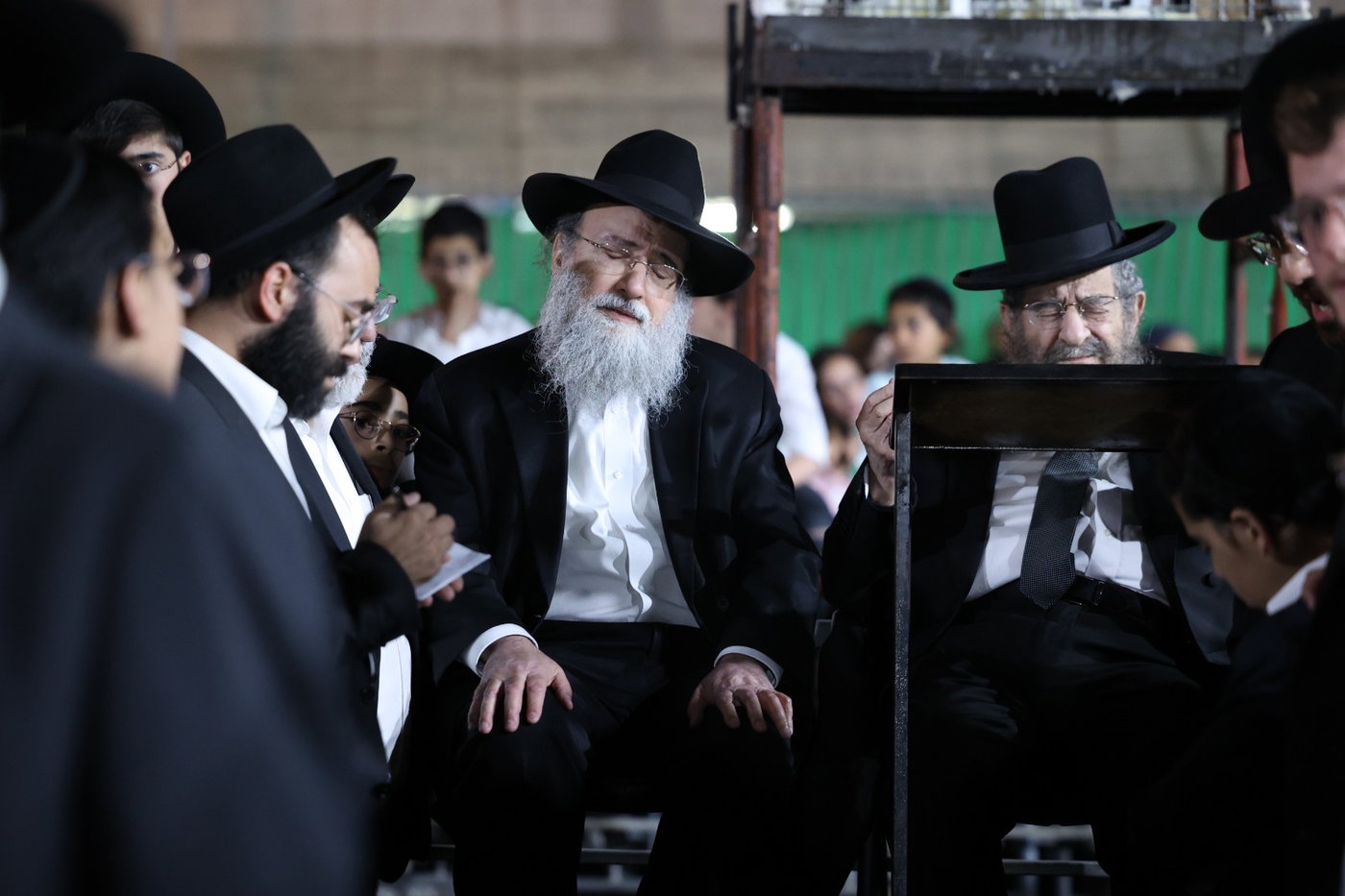 מעמד ההדלקה בשתילי זיתים