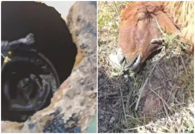 פיגוע הרעלה? בפעם התשיעית - תוך שנתיים: מחבלים הרעילו 10 בורות מים