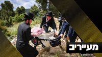 את מסירות הנפש של החסידים - הליטאים צריכים להבין מהתיעודים | מעייריב
