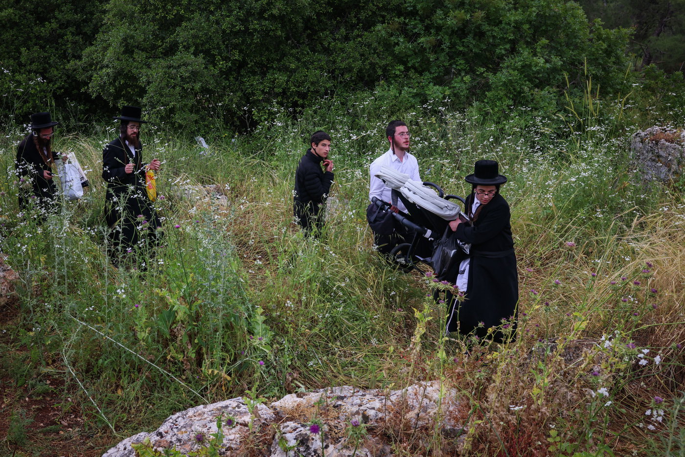 יהודים ביערות ביום ל"ג בעומר בדרך למירון