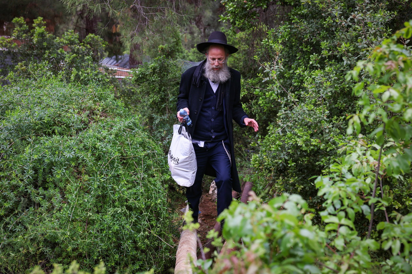יהודים ביערות ביום ל"ג בעומר בדרך למירון