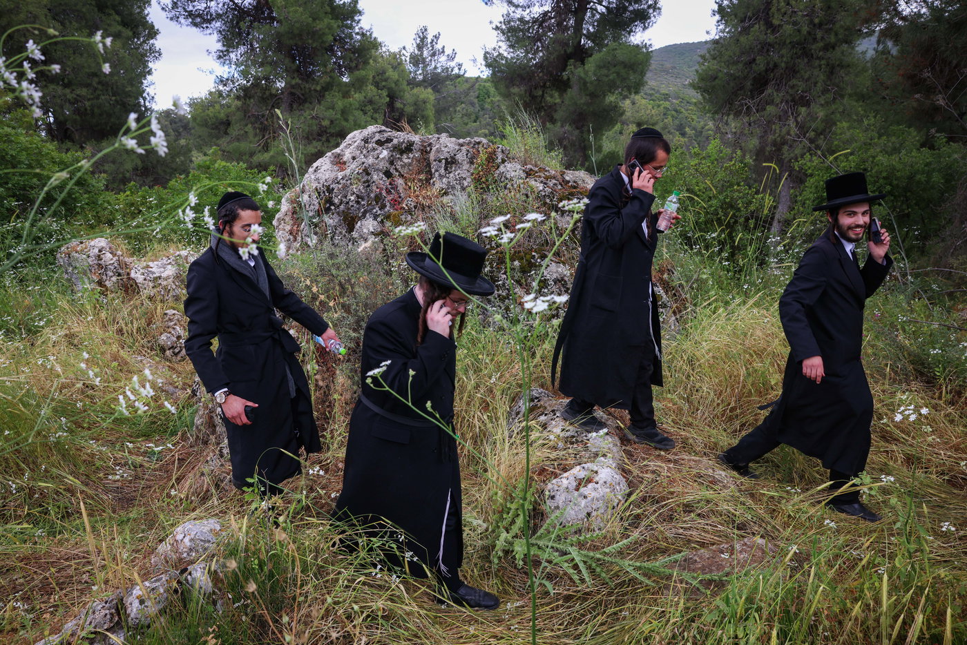 יהודים ביערות ביום ל"ג בעומר בדרך למירון