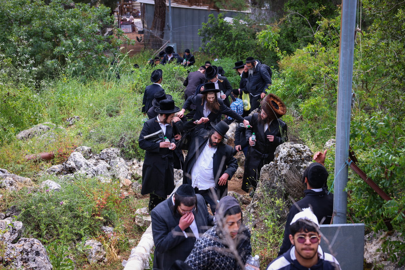 יהודים ביערות ביום ל"ג בעומר בדרך למירון