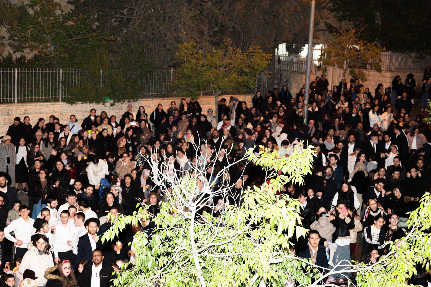 מעמד ההדלקה אצל הגרש"מ עמאר