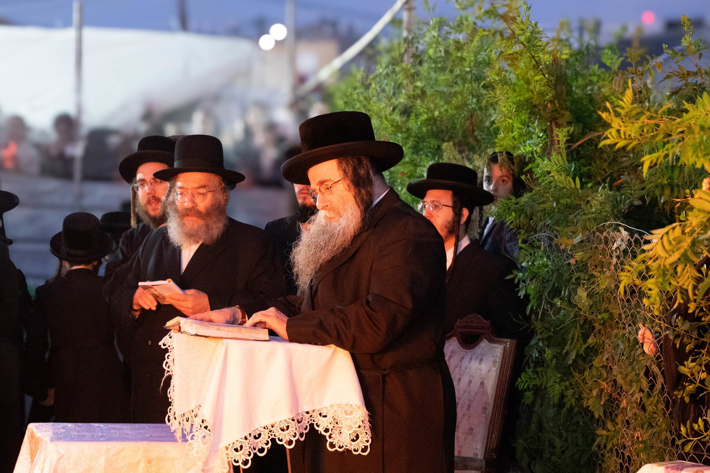ל"ג בעומר בחצה"ק לעלוב ירושלים בטבריה