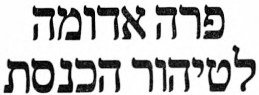 עיתון מעריב מתאריך 15 דצמבר 1989 מציע בהומור לגדל פרה אדומה לטהר הכנסת