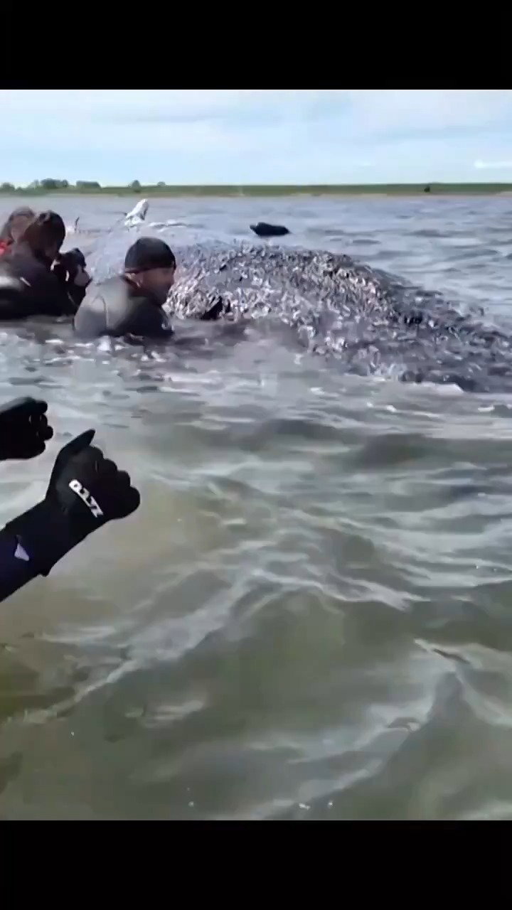 חילוץ סביב השעון - טומי עושה את דרכו לים הצפוני 