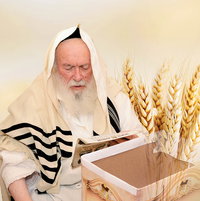 הגר"י זילברשטיין התרגש מהנתונים שהוצגו בפניו