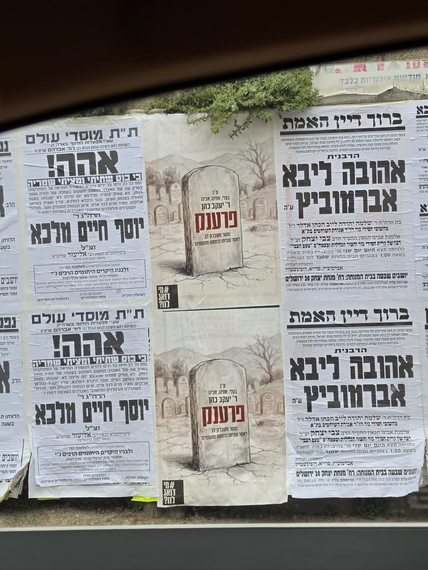 הקמפיין נגד האפליה